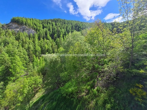 Image d'un appartement 1 pièce 24 m² à 77400€ à pra loup (04400)