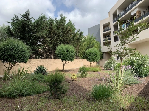 Image d'un appartement 1 pièce 34 m² à 169600€ à castelnau-le-lez (34170)