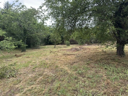 Image d'un maison 7 pièces 152 m² à 590000€ à millery (69390)