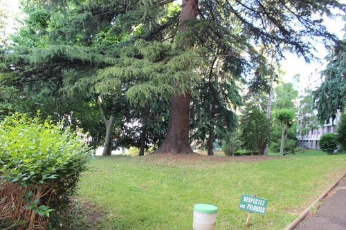 Image d'un appartement 3 pièces 68 m² à 184000€ à clermont-ferrand (63000)