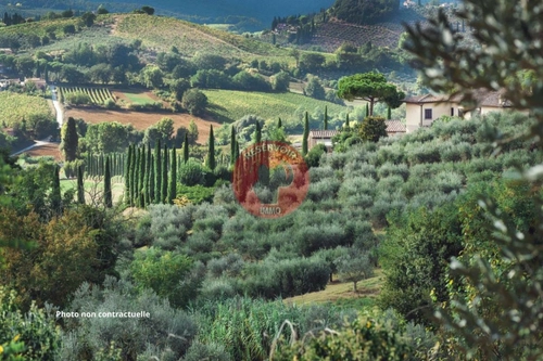 Image d'un maison 30 pièces 1 200 m² à 9950000€ à rustrel (84400)
