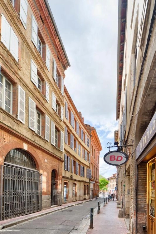 Image d'un appartement 2 pièces 53 m² à 265000€ à toulouse (31000)