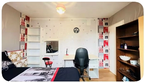 Image d'un maison meublée 1 pièce 13 m² à 460€ à orléans (45100)