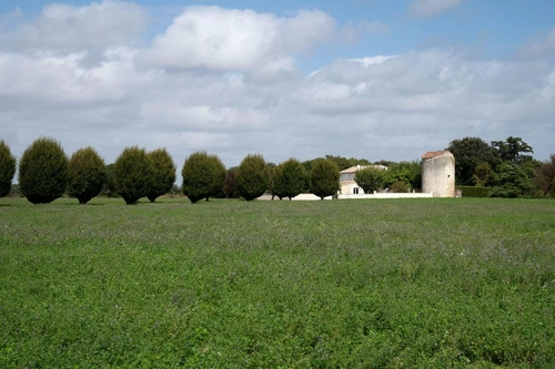 Image d'un maison 8 pièces 168 m² à 477000€ à saint-agnant (17620)