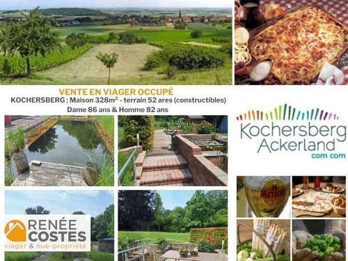 Image d'un maison 10 pièces 328 m² à 459400€ à willgottheim (67370)