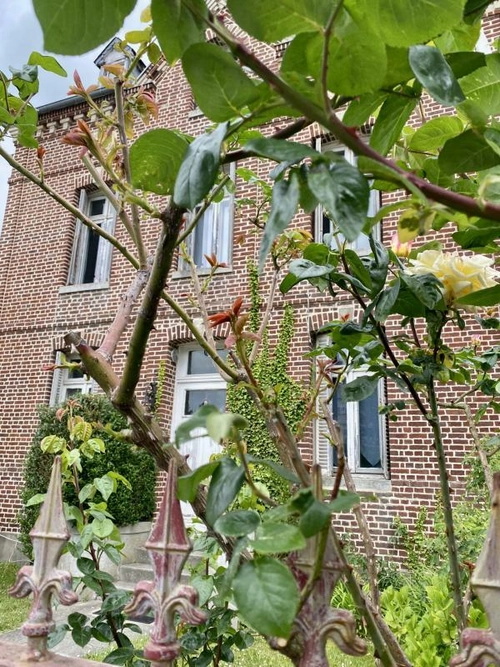 Image d'un maison 7 pièces 132 m² à 248850€ à eu (76260)