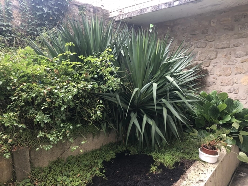 Image d'un appartement 2 pièces 50 m² à 915.96€ à montesson (52500)