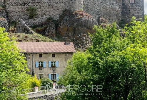Image d'un maison 10 pièces 176 m² à 325000€ à andelat (15100)