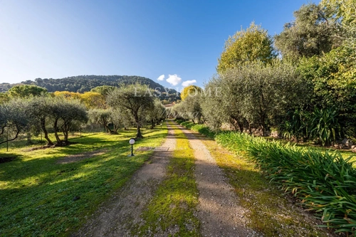 Image d'un maison 9 pièces 305 m² à 2330000€ à mouans-sartoux (06370)