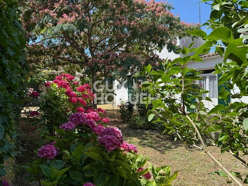 Image d'un maison 8 pièces 132 m² à 899850€ à dolus-d'oléron (17550)