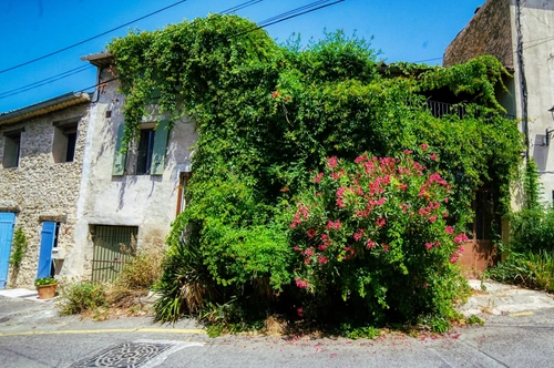 Image d'un maison 5 pièces 146 m² à 495000€ à cucuron (84160)