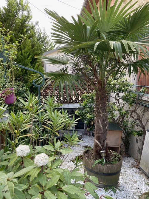 Image d'un appartement 3 pièces 60 m² à 372000€ à fontenay-aux-roses (92260)