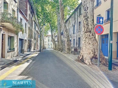 Image d'un maison 8 pièces 246 m² à 449000€ à céret (66400)
