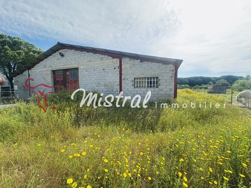 Image d'un maison 1 pièce 350 m² à 215000€ à aigues-mortes (30220)