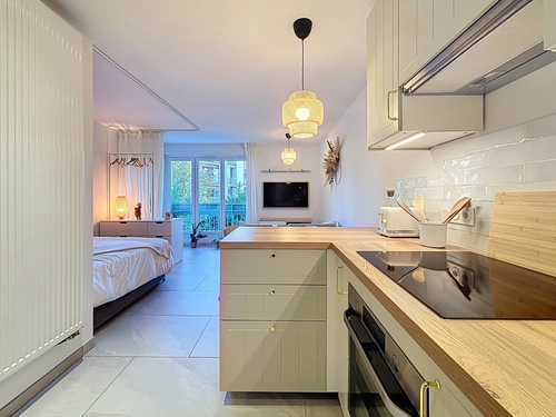 Image d'un appartement meublé 1 pièce 28 m² à 690€ à aix-les-bains (73100)