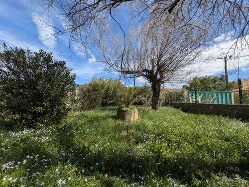 Image d'un maison 3 pièces 56 m² à 340000€ à frontignan (34110)