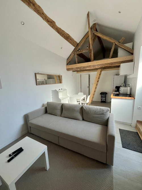 Image d'un maison meublée 3 pièces 31 m² à 730€ à saint-ay (45130)