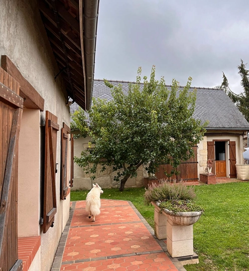 Image d'un maison 3 pièces 97 m² à 310000€ à bornel (60540)