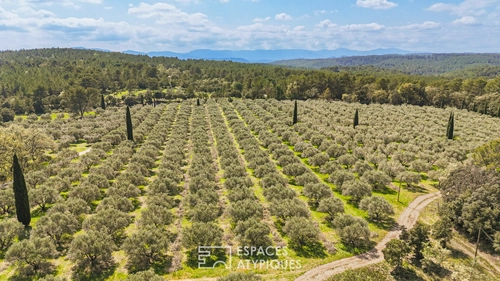 Image d'un maison 6 pièces 183 m² à 1490000€ à trans-en-provence (83720)