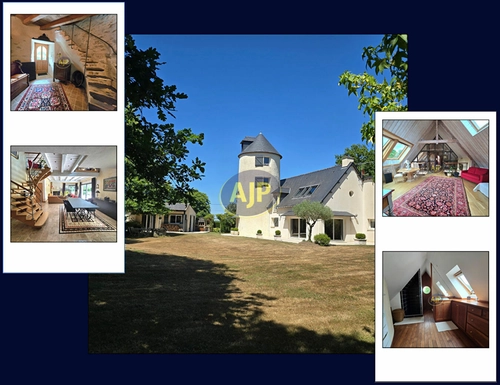 Image d'un maison 8 pièces 239 m² à 549000€ à plessé (44630)