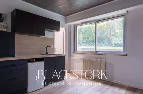 Image d'un appartement 1 pièce 15 m² à 58000€ à riedisheim (68400)