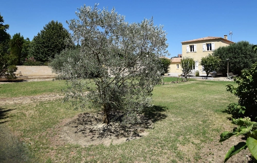 Image d'un maison 4 pièces 105 m² à 480000€ à cabannes (13440)