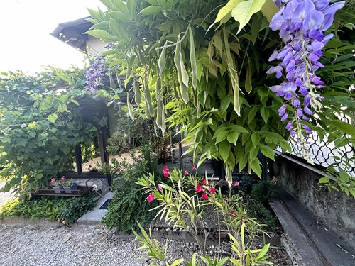 Image d'un maison 6 pièces 96 m² à 254000€ à chirens (38850)