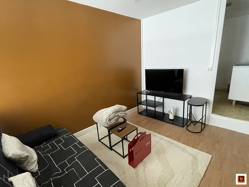 Image d'un appartement meublé 1 pièce 25 m² à 310€ à thiers (63300)