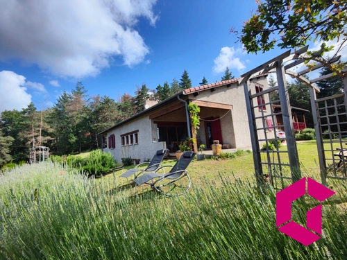 Image d'un maison 11 pièces 293 m² à 335000€ à agnat (43100)