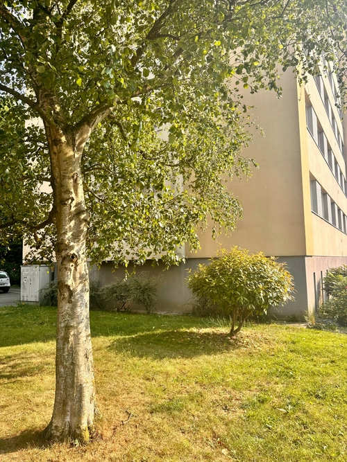 Image d'un appartement 1 pièce 34 m² à 137000€ à la madeleine (44350)