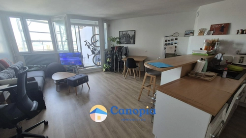 Image d'un appartement 2 pièces 52 m² à 268000€ à arcueil (94110)