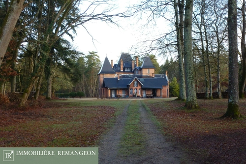 Image d'un maison 10 pièces 460 m² à 2226000€ à nouan-le-fuzelier (41600)