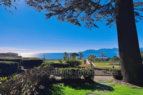 Image d'un appartement 3 pièces 35 m² à 270000€ à cannes (06400)