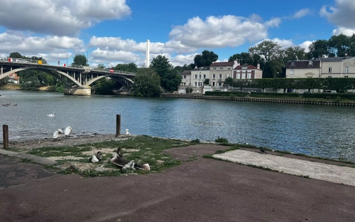Image d'un appartement à louer 3 pièces 59,98 m à 1150€ à lagny-sur-marne (77400)