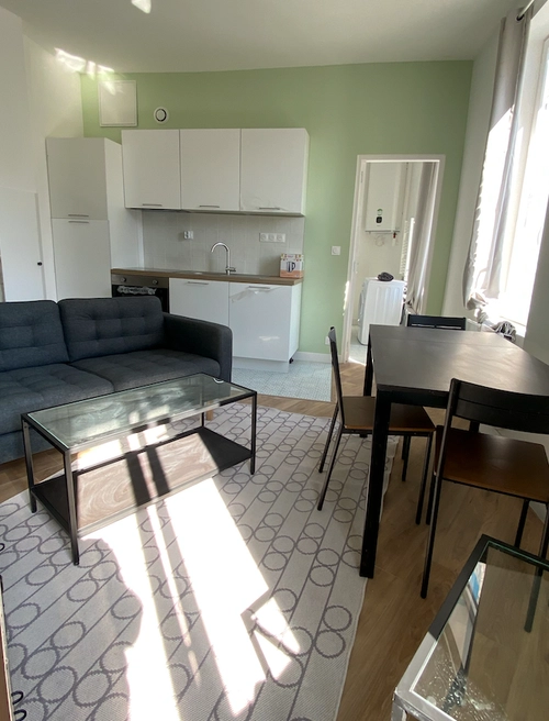 Image d'un annonce n° 95943 - magnifique t2 refait neuf et meublé à 629€ à tourcoing (59200)
