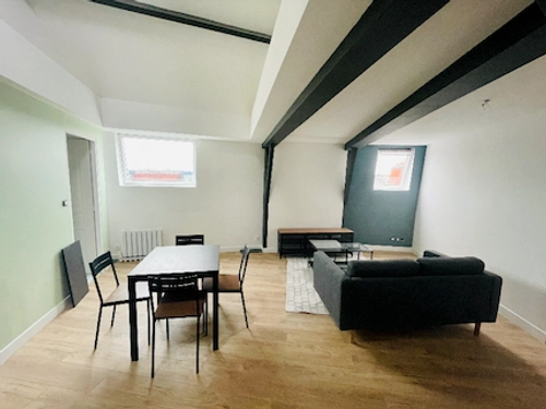 Image d'un annonce n° 95944 - magnifique t2 refait neuf et meublé à 640€ à tourcoing (59200)