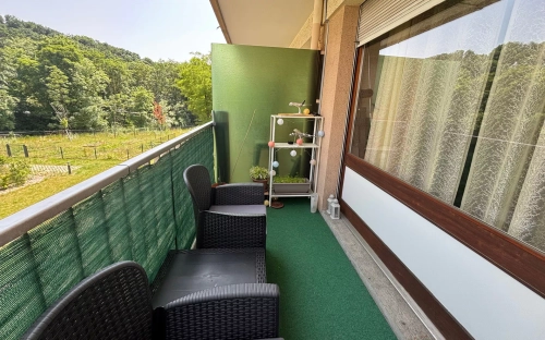 Image d'un appartement à louer 2 pièces à 1280€ à saint-julien-en-genevois (74160)