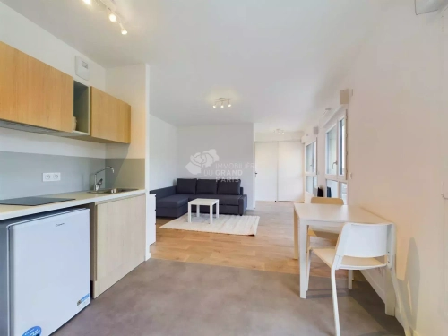 Image d'un appartement 1 pièce en location à palaiseau 920 € / mois (charges comprises) à 920€ à palaiseau (91120)