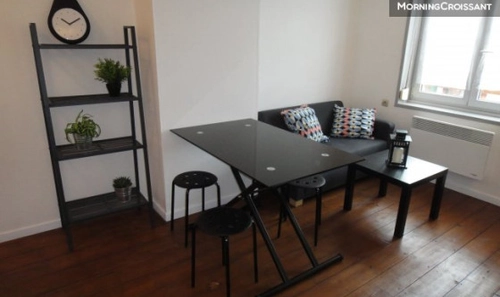 Image d'un duplex/triplex à lille à louer - locagestion, expert en gestion locative à 835€ à lille (59000)