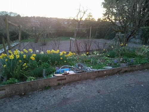 Image d'un location meublée avec jardin à 700€ à saint-laurent-sur-sèvre (85290)
