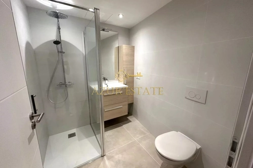 Image d'un annonce appartement à louer à 600€ à sospel (06380)
