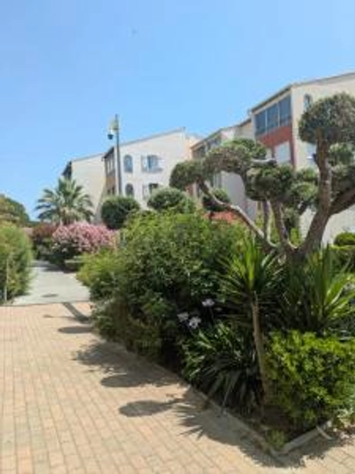 Image d'un location appartement frejus 2 pièces 25 m2 var (83600) - 660 € / mois à 660€ à fréjus (83600)