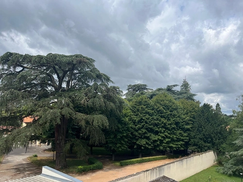 Image d'un en location appartement 2 pièces 34 m à 522€ à "écully" (69130)