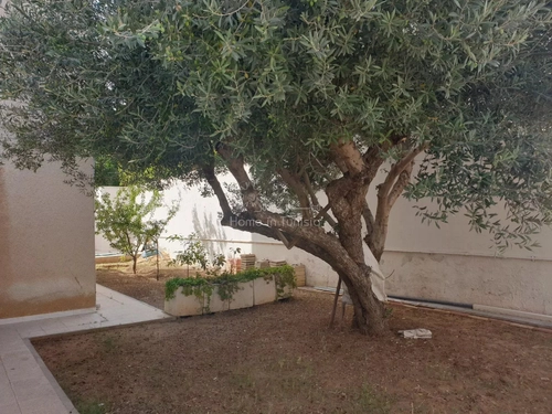 Image d'un en location maison 3 pièces 130 m à 470€ à lille (59000)