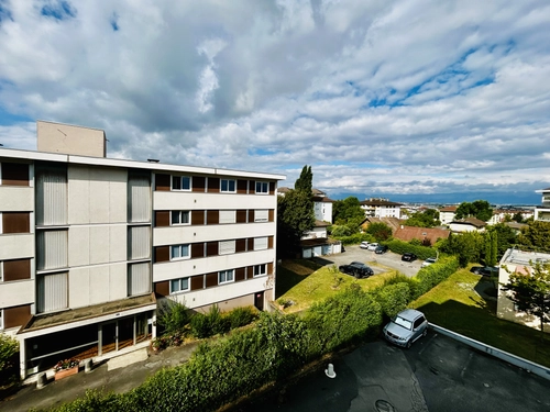 Image d'un appartement 29.18 m² - 1 pièce - annemasse (74100) à 700€ à annemasse (74100)