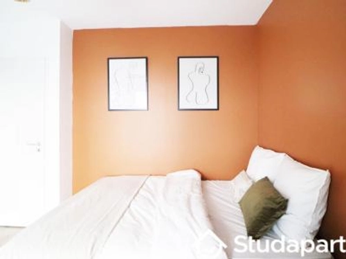 Image d'un location appartement schiltigheim 1 pièce 11 m2 bas rhin (67300) - 620 € / mois à 620€ à schiltigheim (67300)