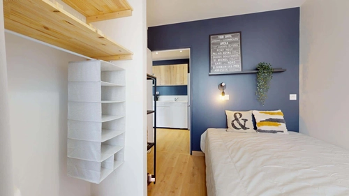 Image d'un chambre 1 - pasteur à 520€ à caluire-et-cuire (69300)