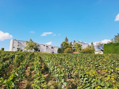 Image d'un location appartement t3 à sezanne, 51120 er.22907 - plurial novilia à 368€ à sézanne (51120)