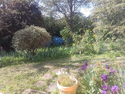 Image d'un maison 3 pièces, 49 m² à louer à bourges (18000) à 850€ à bourges (18000)