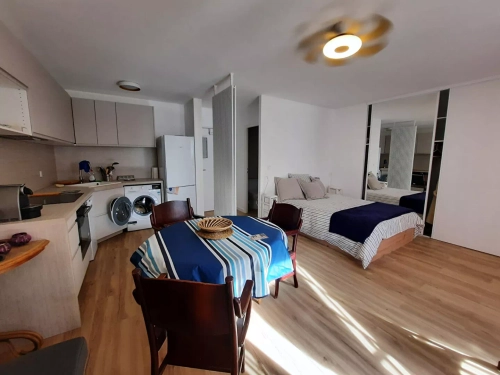 Image d'un appartement saint jean de luz 1 pièce(s) 32.12 m2 à 650€ à lille (59000)